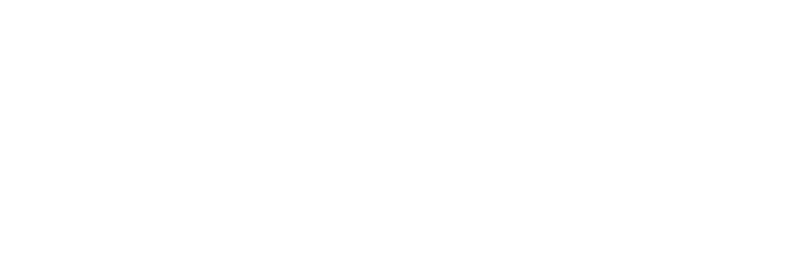 Logo Naluna grayscale 